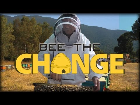 Bee the Change - Full Video