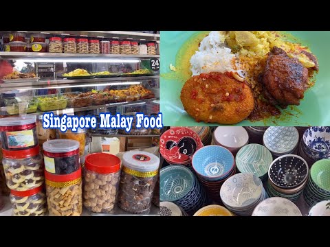 Malay Indonesian Food In Singapore I Walking N Food Tour