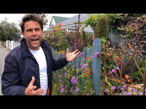 Robyn Kilty's tiny garden, NZ