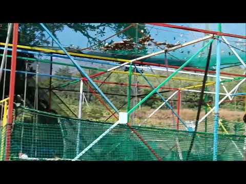 Sky cycling at Araku