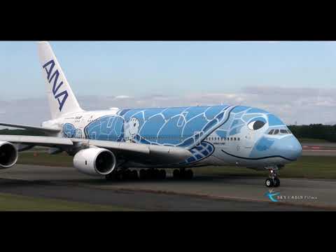 " ANA FLYING HONU、新千歳空港発着、初の遊覧飛行を撮る!! " All Nippon Airways Airbus A380-841 JA381A