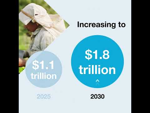 How much do developing countries need for climate action?