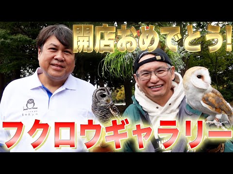 友達がフクロウと散歩出来るお店を出したのでお祝いも兼ねて行ってきました！