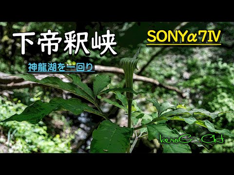 SONYα7Ⅳ【下帝釈峡】神龍湖を一回り