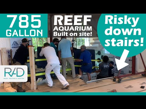 BUILDING A 785-GALLON REEF AQUARIUM ON-SITE IN PALM BEACH, FLORIDA BY REEF AQUARIA DESIGN.