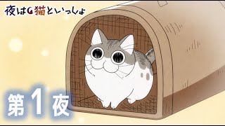 アニメ『夜は猫といっしょ』 第1夜 「ネコが家に来た日」