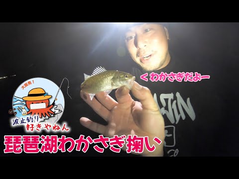 【琵琶湖】ワカサギ掬いならぬブラックバス掬い？【自粛前動画】