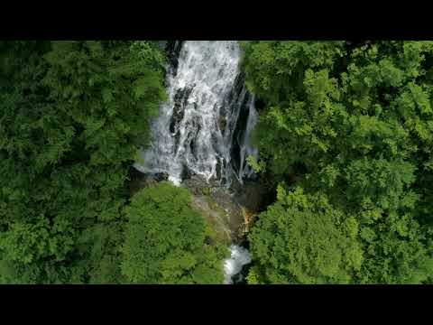 Aerial Forest Views [4k No Sound Screen Saver] [10 Hours]