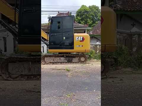 Caterpillar 305 SE Mini excavator cleaning tree on a side road