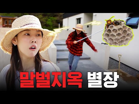 🐝Biggest Crisis in Villa Life🐝 Han Hyejin touched the beehive while planting landscaping tree