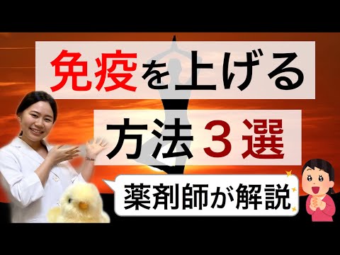 免疫力を高める方法３選　おすすめストレッチ・食事【薬剤師が解説】新型コロナウイルス対策