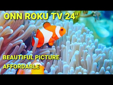 🔌 ONN ROKU HD TV 24" – Easy Setup and Amazing Picture Quality