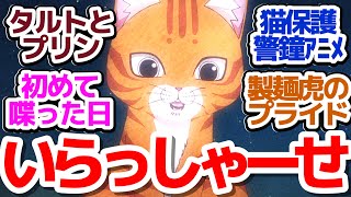 【ラーメン赤猫 11話】タルトちゃんプリンちゃん（現文蔵店長＆佐々木CEO）の子猫時代が可愛すぎる件＆猫好き弁護士念願達成？『ラーメン赤猫』第11話反応集＆個人的感想【反応/感想/アニメ/X/考察】