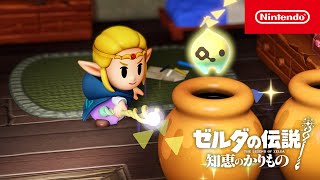 ゼルダの伝説 知恵のかりもの CM カリモノ篇