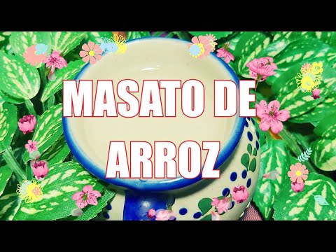 ✅Masato de ARROZ receta 🤤DELICIOSA y FÁCIL 🥤#masato #masatodearroz