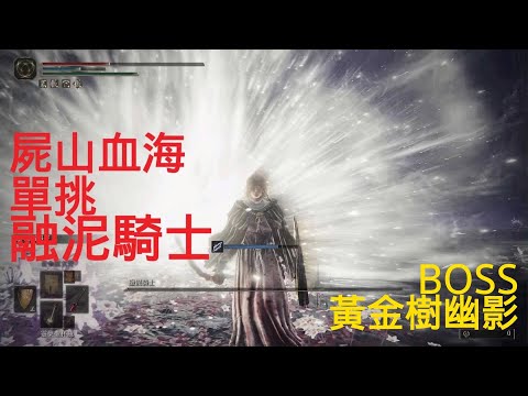 屍山血海單挑融泥騎士-黃金樹幽影BOSS戰(艾爾登法環DLC) Putrescent Knigh BOSS SOLO FIGHT - ELDEN RING DLC