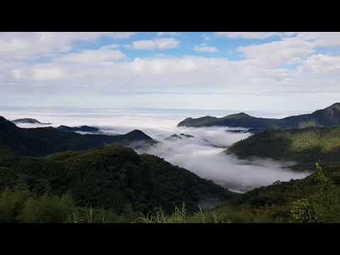 Taiwan Alishan 阿里山冬季限定……雲海+櫻花