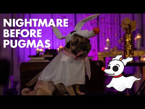 Dressing Doug - The Nightmare Before Christmas