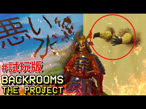 2024後房一日遊… - 試玩版 [Backrooms: The Project](全字幕)