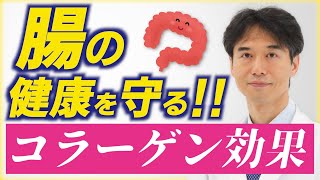 腸の健康が全身に影響！リーキーガット改善にコラーゲンが効果的な医学的根拠