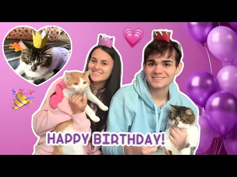 Kitten's First Birthday!!