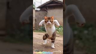 #shortcut#Bhilai#Nach#Billi dance#viral#village#short#