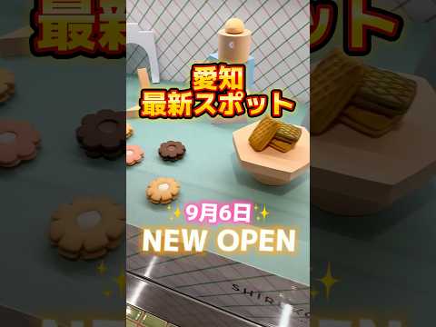 愛知県民なら知ってるお菓子の新スポット