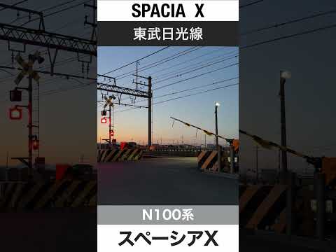 【踏切】東武特急スペーシアX 南栗橋-栗橋駅間【電車が大好きな子供向け】Japanese Trains for Kids - Tobu Nikko Line