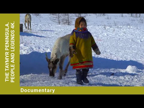 The Taymyr Peninsula. PEOPLE AND LEGENDS 4К. Documentary. English Dubbing