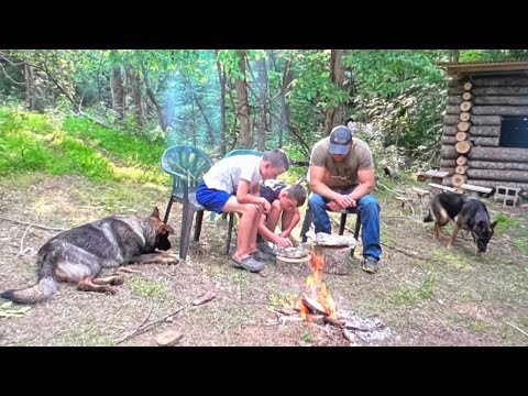 BUSHCRAFT STYLE LOG CABIN BUILD!!!