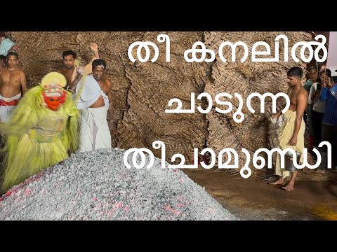 Theechamundi Theyyam | Theechamundi | തീ കനലിൽ എടുത്തു ചാടുന്ന തീചാമുണ്ഡി  | kunnath karinkali kavu