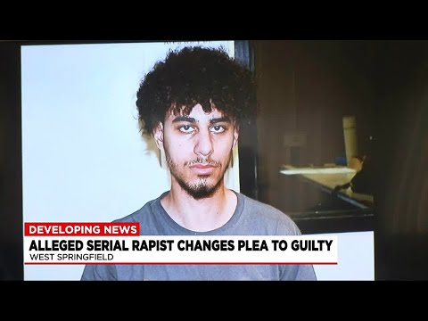 Serial rapist pleads guilty to kidnapping, rape charges