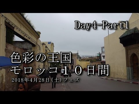 【モロッコ旅行 Day4-Part1】フェズ