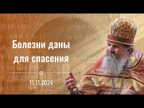 Болезни даны для спасения. Воскресная проповедь о. Андрея Лемешонка. 11 ноября 2024 г.