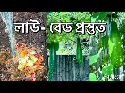 অধিক ফলন পেতে লাউ গাছের বেড / মাদা তৈরি - How to grow Bottle Gourd Organically