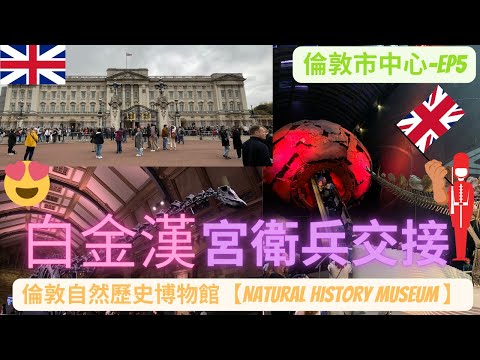 【英國出走VLOG】EP5 倫敦市中心 晨早去睇白金漢宮衛兵交接 包羅萬有倫敦自然歷史博物館【Natural History Museum 】#白金漢宮 #naturalhistorymuseum