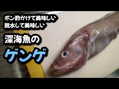 揚げて、脱水して、深海魚のゲンゲは美味い😋