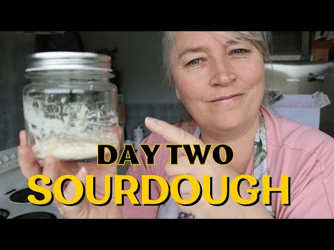 DAY TWO | Let's Make Our First Sourdough Starter Together