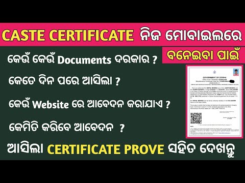 Caste Certificate online 2024 in mobile/ପୁରା ଫ୍ରି ରେ ବନାନ୍ତୁ Caste certificate/PADMA INFORMATION