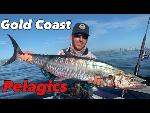 Offshore Fishing the GOLD COAST - Trolling for Spanish Macs and fishing the Fads for Dollies