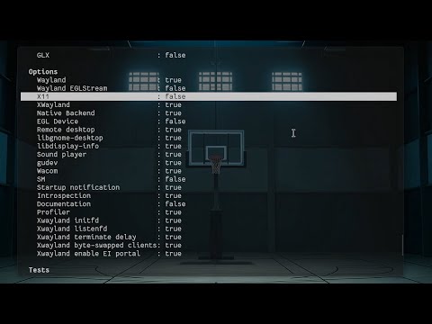 Building and Using an X11-LESS GNOME 47