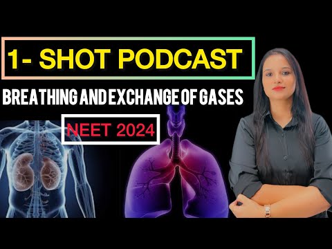 Breathing and Exchange of Gases | One Shot | NEET Biology | Quick Revision Podcast #neet #neet2024