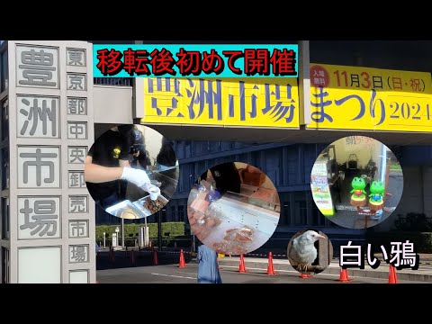 豊洲市場まつり2024