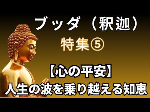 🌊【心の平安を求めて】人生の波を乗り越えるブッダの知恵🕊