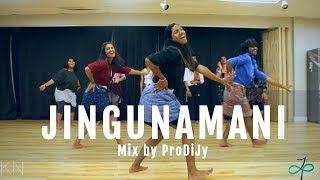 JINGUNAMANI ||  ProDiJy || Dapankuthu Workshop || Judy Panachakunnel Choreography