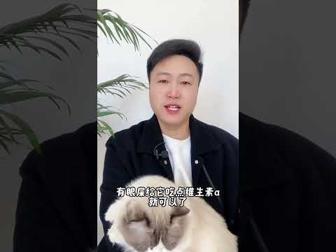 猫咪可以吃的，人类食物养猫经验分享 科学养宠攻略 养猫人 宠物维生素 新手养猫