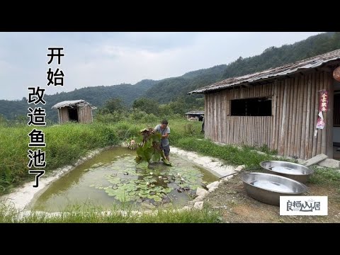 改造鱼池，第一步，把鱼池里面的睡莲弄起来，把水抽干还抓了好几斤鱼，最后再把淤泥弄出来