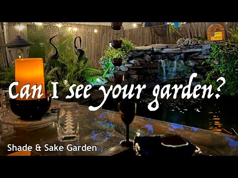 A Nighttime Adventures into their Tea House Garden