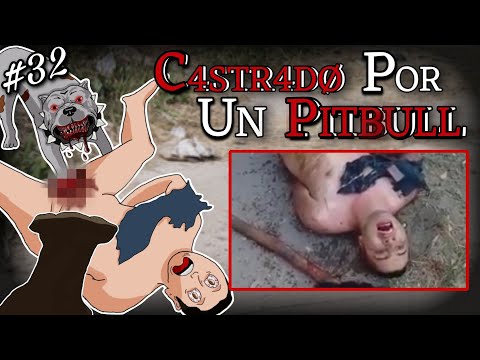 "PITBULL COME HU3VØS"  CAPTURAN A UN ABU$@DØR Y UN PERRO SE COME SUS P@RT3S | CAP: #32