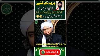 Yazeed Kutte Ka Nam ??? Reply Mufti Haneef Qureshi  By Engineer Muhammad Ali Mirza